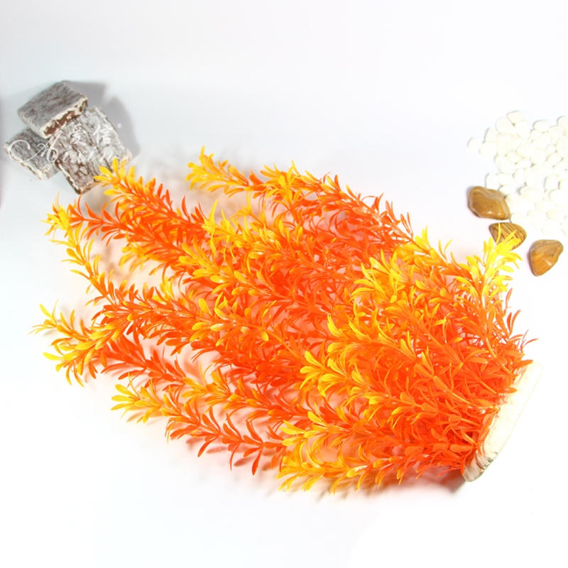 100Cm Thực Vật Nhiệt Đới Lớn N - đánh giá và giá Aquarium Fish Types