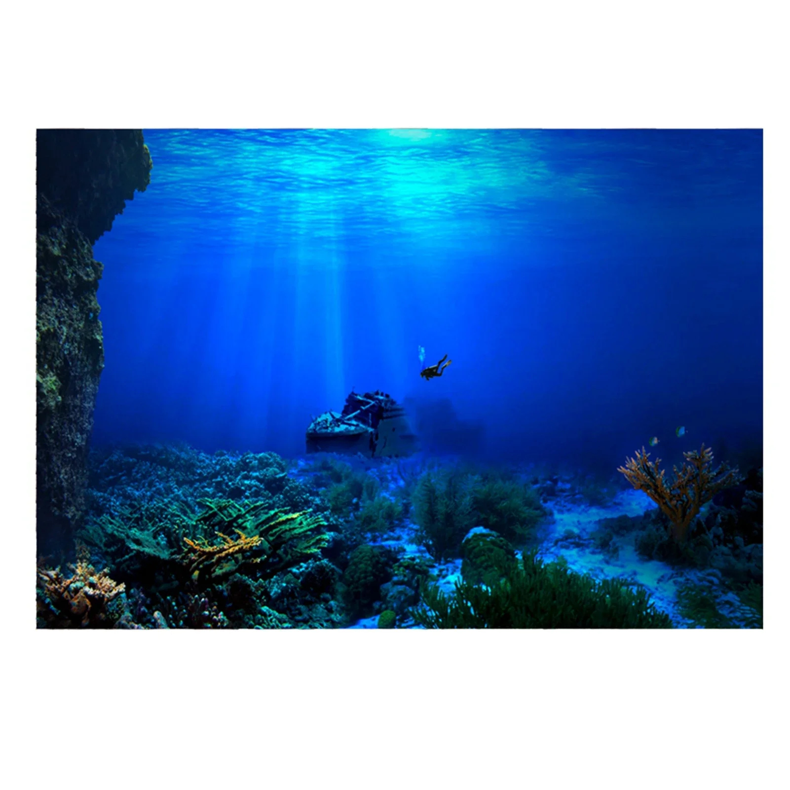 Rainforest Aquarium Background - đánh giá và giá Aquarium Fish Wallpaper