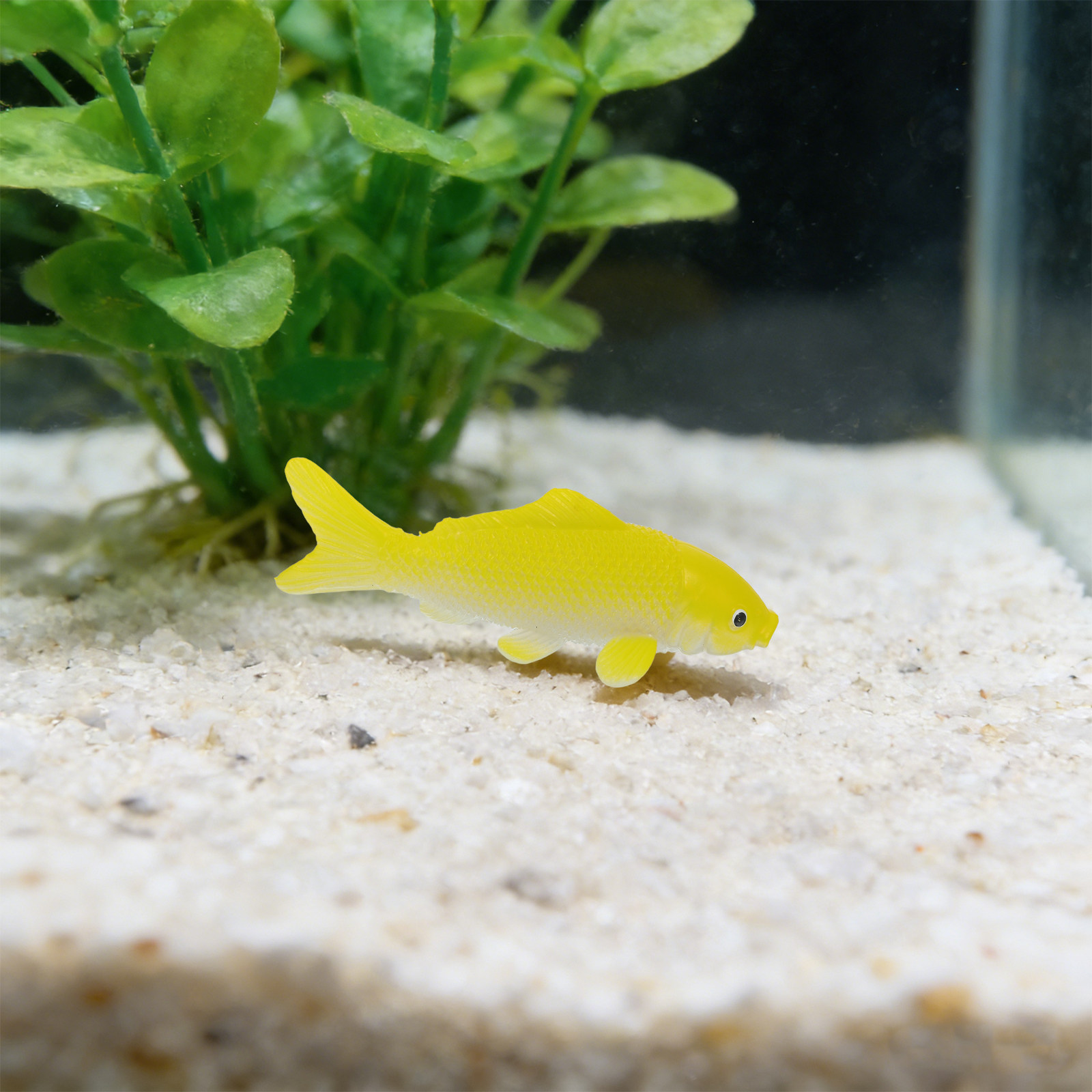 3pcs Fish Crafts Toys Realisti - đánh giá và giá Aquarium Goldfish