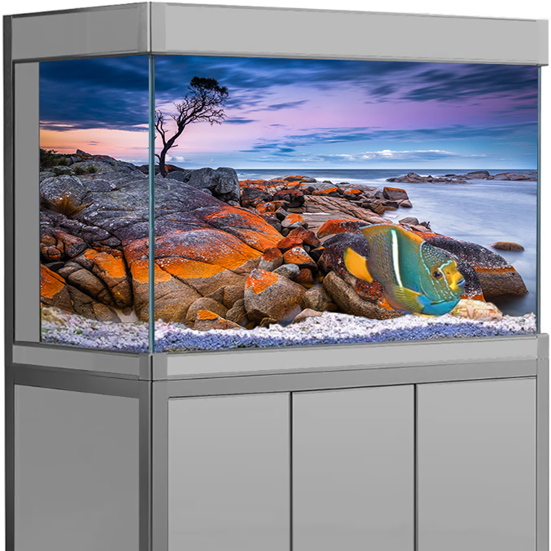 Aquarium Background Sticker St - đánh giá và giá Aquarium Fish Wallpaper