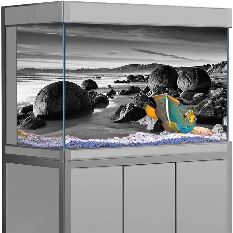 Aquarium Background Sticker St - đánh giá và giá Aquarium Fish Wallpaper
