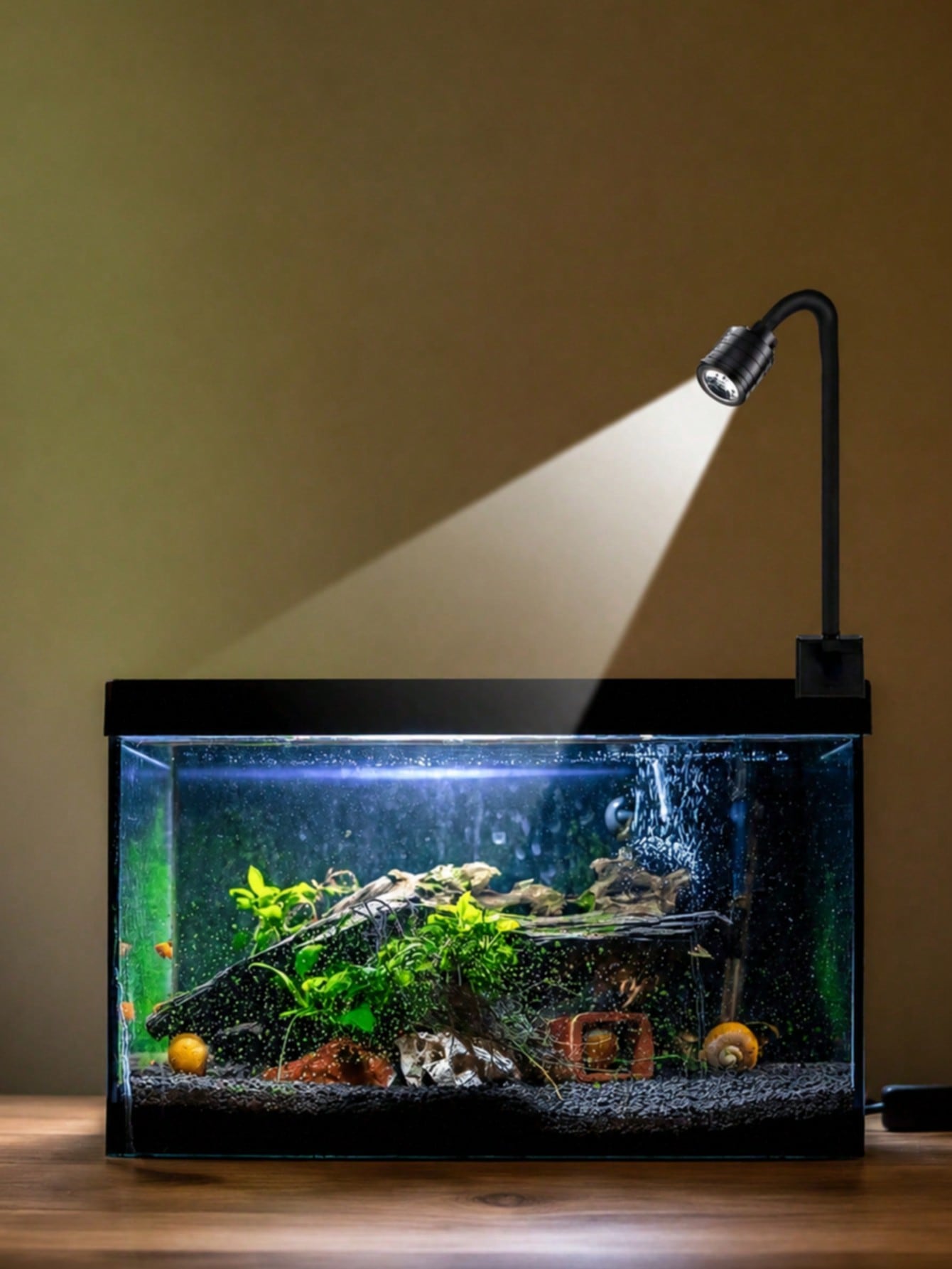 USB aquarium lights, Zoom Sout - đánh giá và giá Aquarium Goldfish