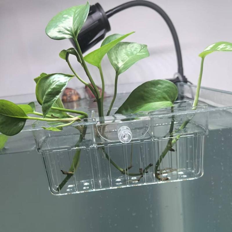 Hydroponic Plant Basket Food G - đánh giá và giá Aquarium Fishes