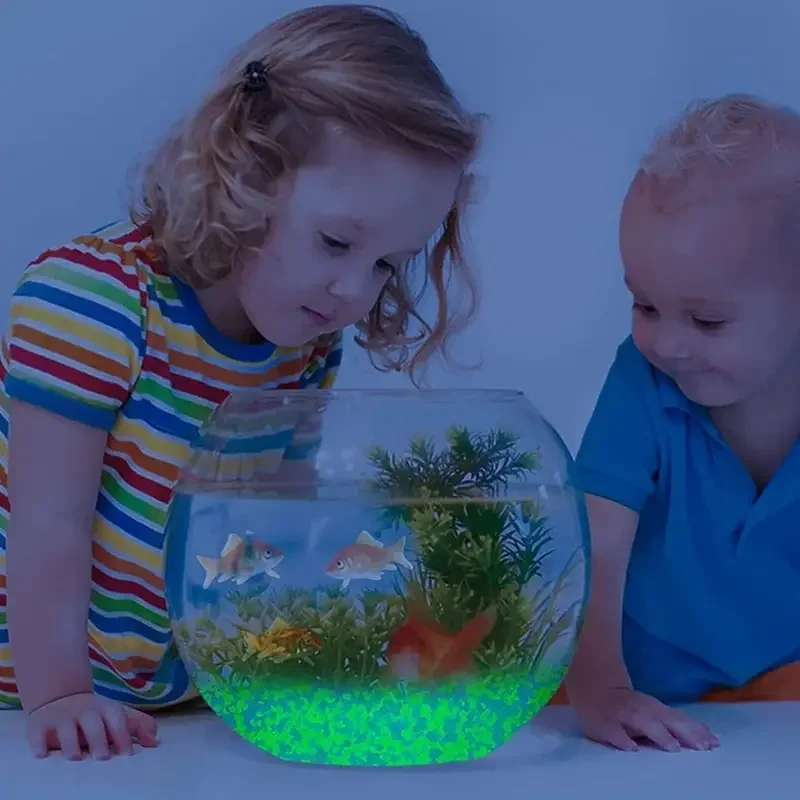 1000pcs 3-5mm Luminous Sand Gl - đánh giá và giá Aquarium Fish Types
