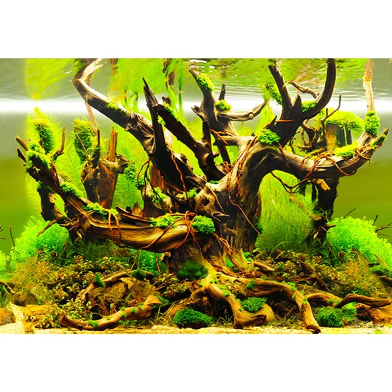 artificial corals for aquarium - đánh giá và giá Aquarium Fish Wallpaper