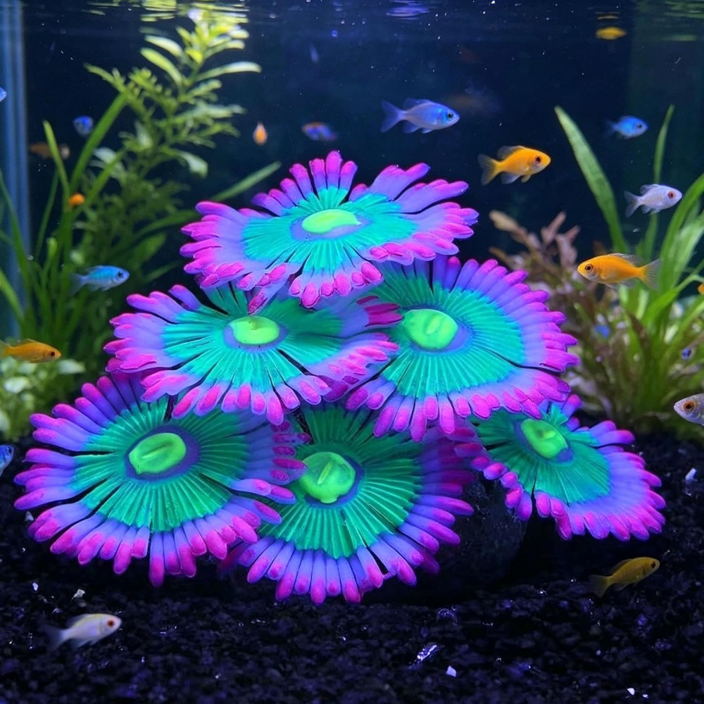 Glowing Soft Aquarium Fish Tan - đánh giá và giá Aquarium Fish For Sale Online