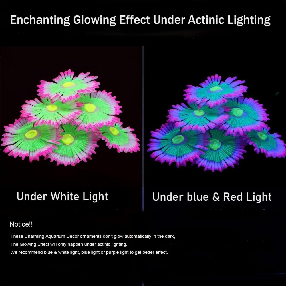 Glowing Soft Aquarium Fish Tan - đánh giá và giá Aquarium Fish For Sale Online
