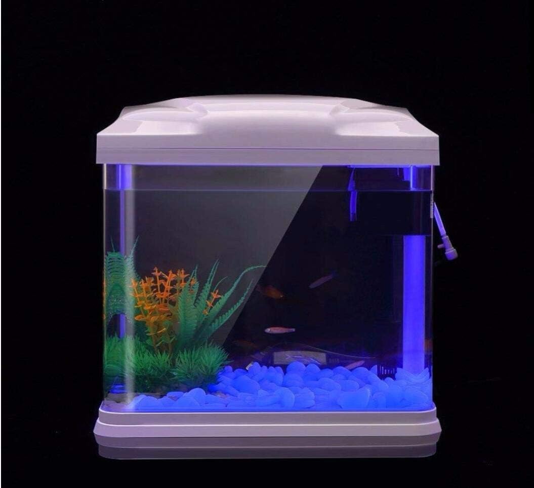 Fish Tank Rocks Glow Blue Pebb - đánh giá và giá Aquarium Fish Types