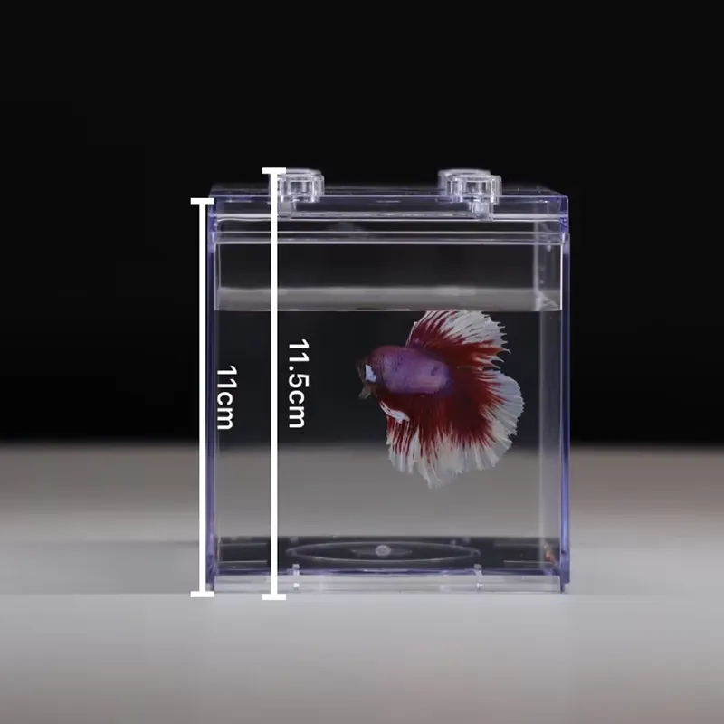 Relaxlines Mini Aquarium Box T - đánh giá và giá Box Fish In Aquarium