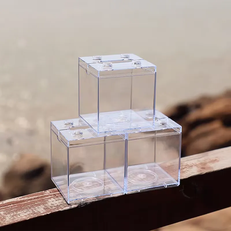 Relaxlines Mini Aquarium Box T - đánh giá và giá Box Fish In Aquarium