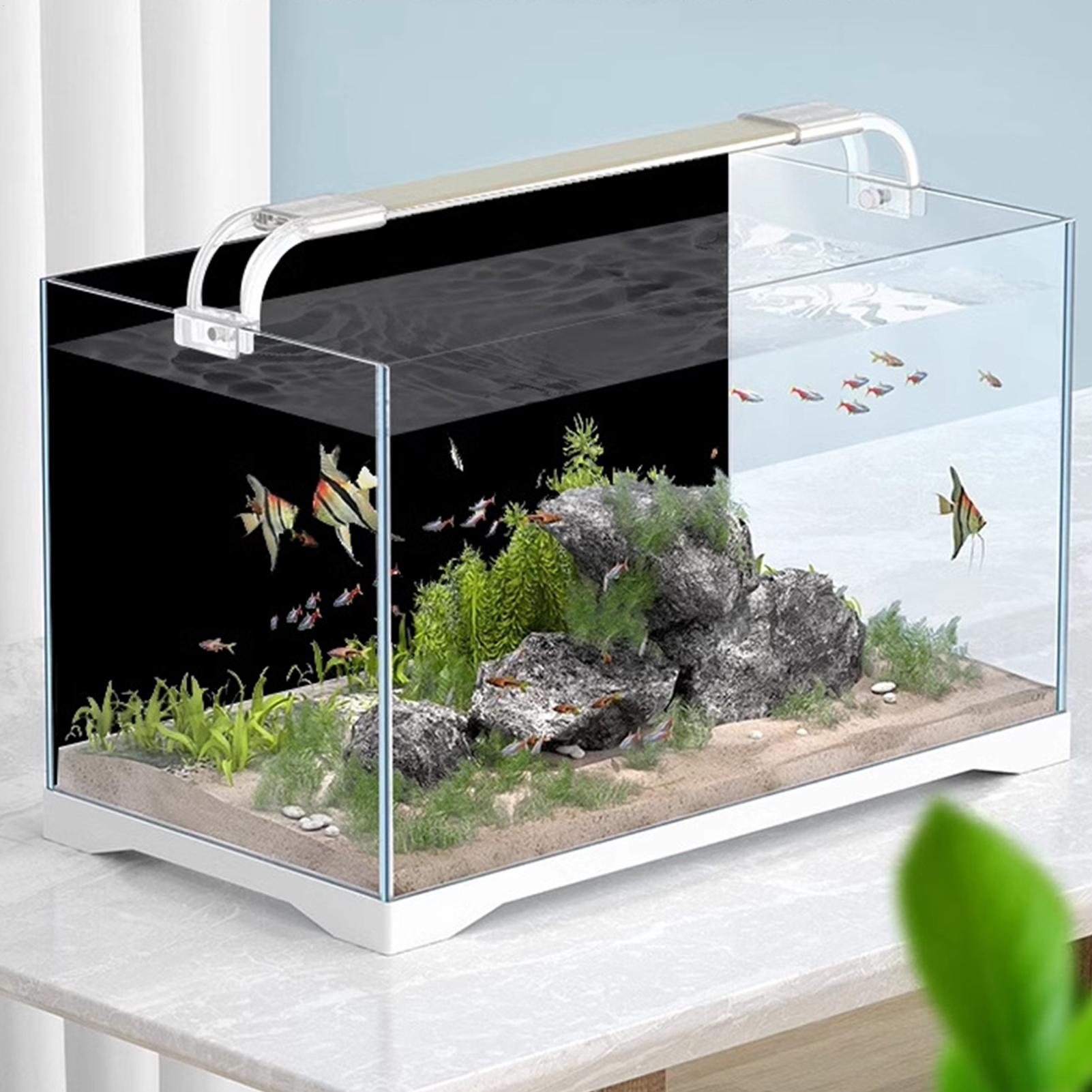 Black Aquarium Background Pict - đánh giá và giá Aquarium Fish Wallpaper