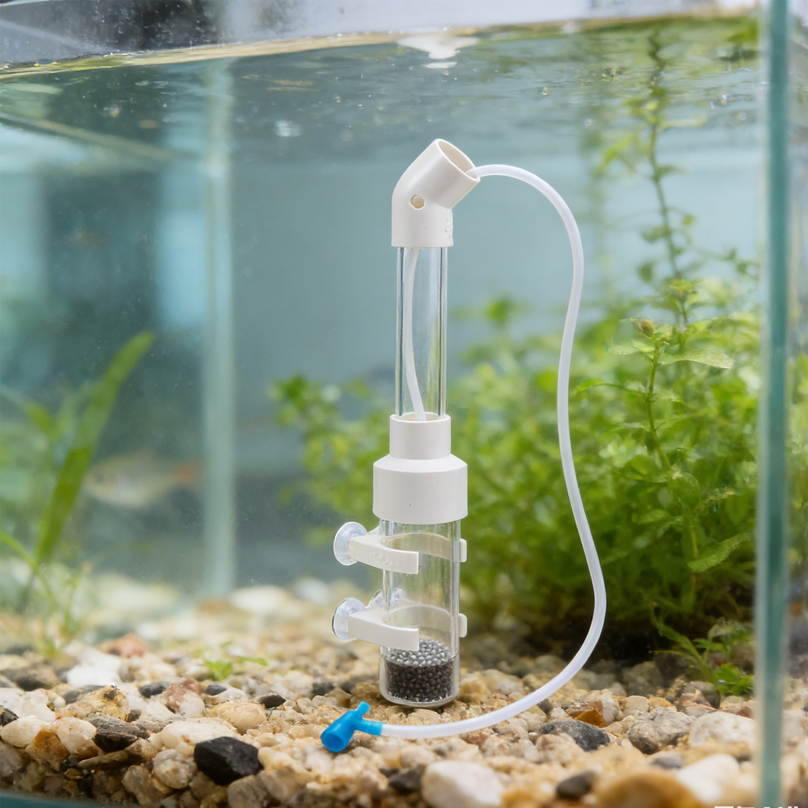 2Sets Fish Egg Incubator Kit A - đánh giá và giá Aquarium Fish Eggs