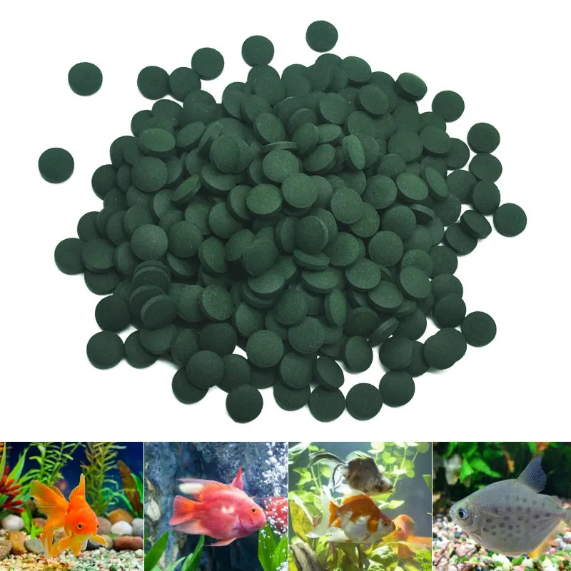 50-300Pcs High Purity Spirulin - đánh giá và giá Aquarium Fish Eggs