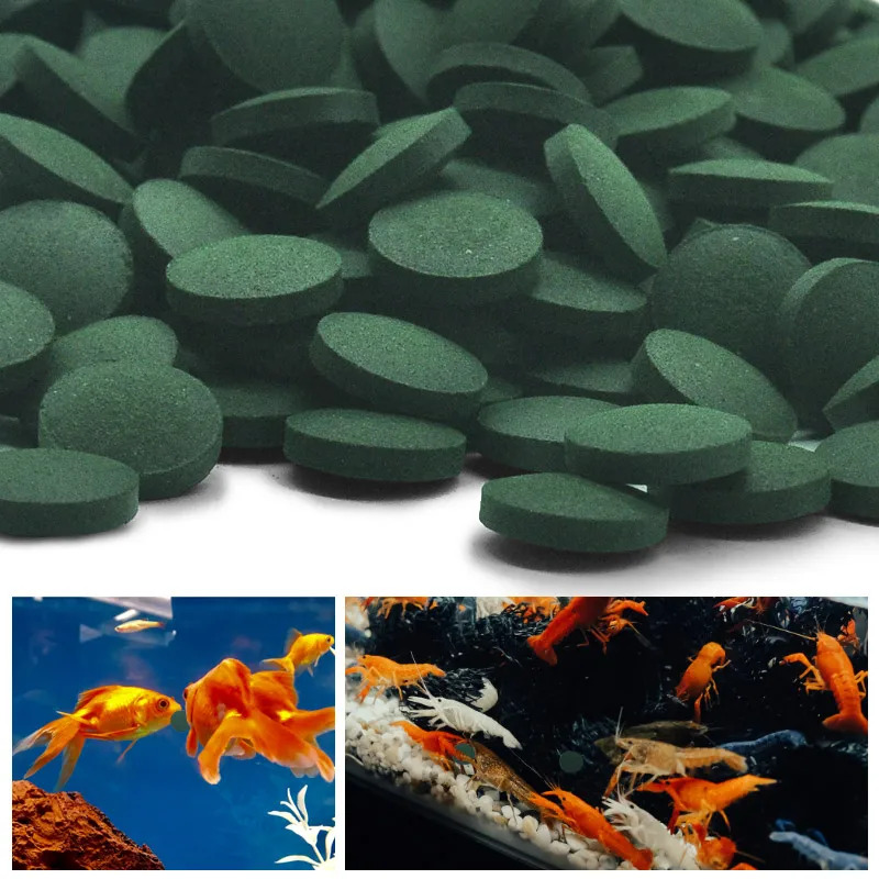 50-300Pcs High Purity Spirulin - đánh giá và giá Aquarium Fish Eggs