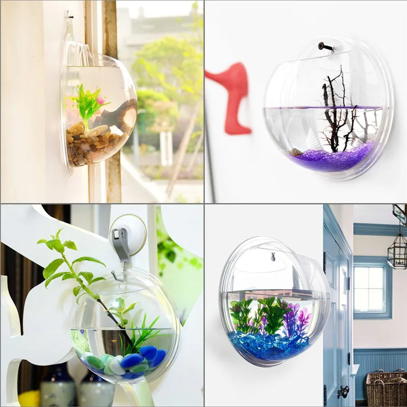 Acrylic Trong Suốt Treo Tường  - đánh giá và giá Aquarium Fish Enrichment