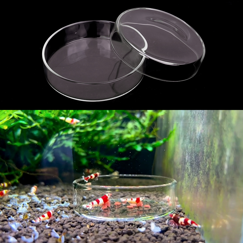 Shrimp Feeding Dish High Trans - đánh giá và giá Aquarium Fish Eggs