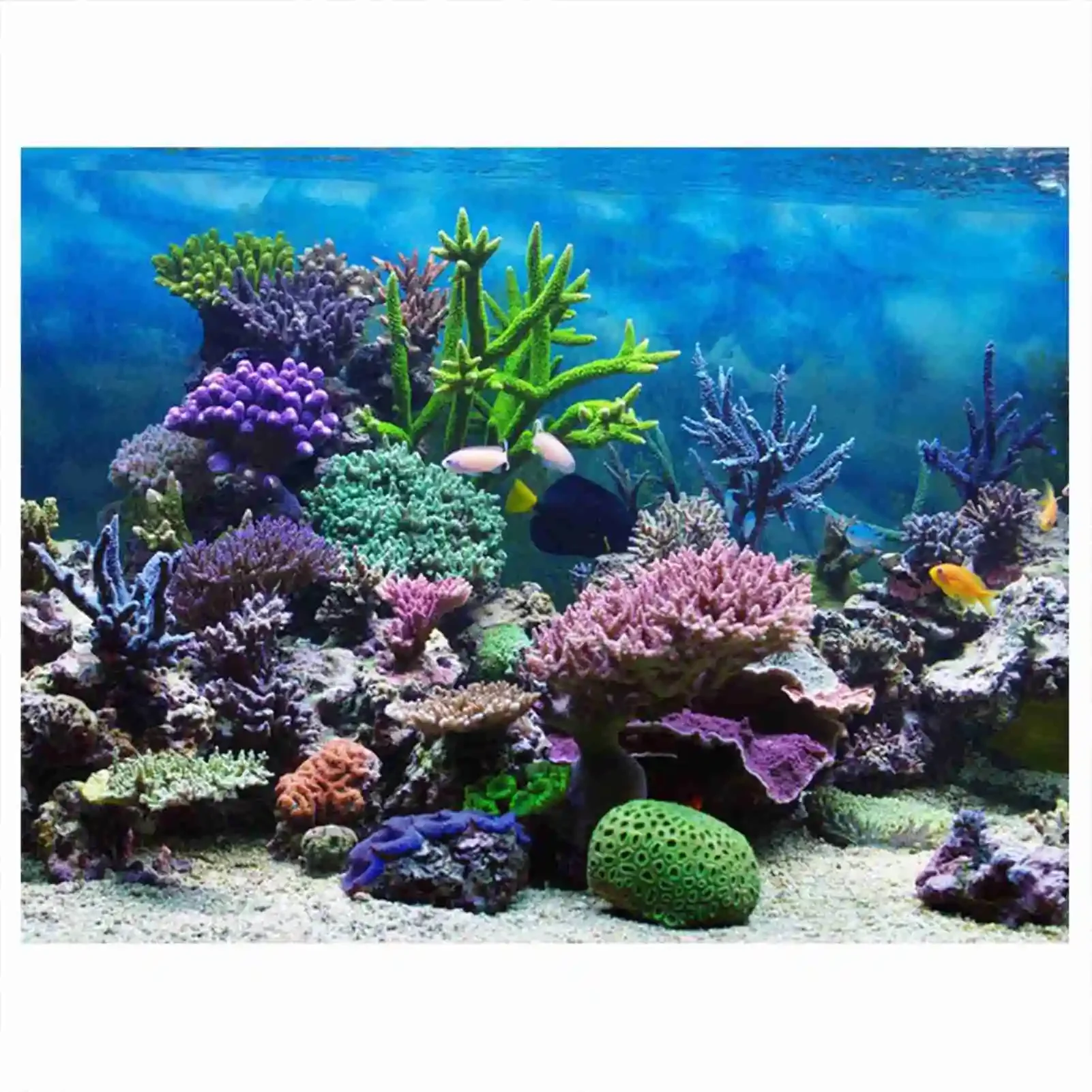 3D Aquarium Landscape Poster R - đánh giá và giá Aquarium Fish Wallpaper