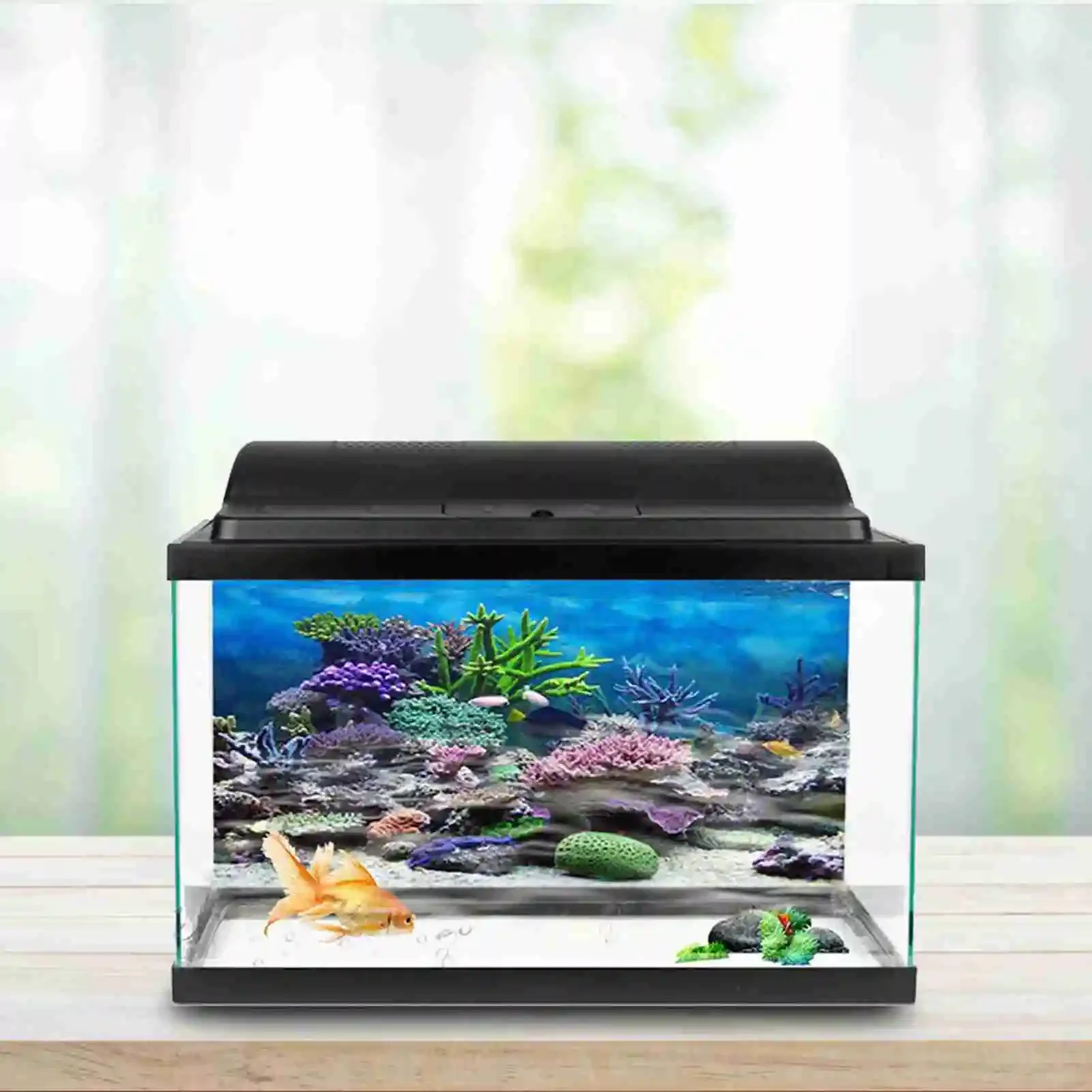 3D Aquarium Landscape Poster R - đánh giá và giá Aquarium Fish Wallpaper