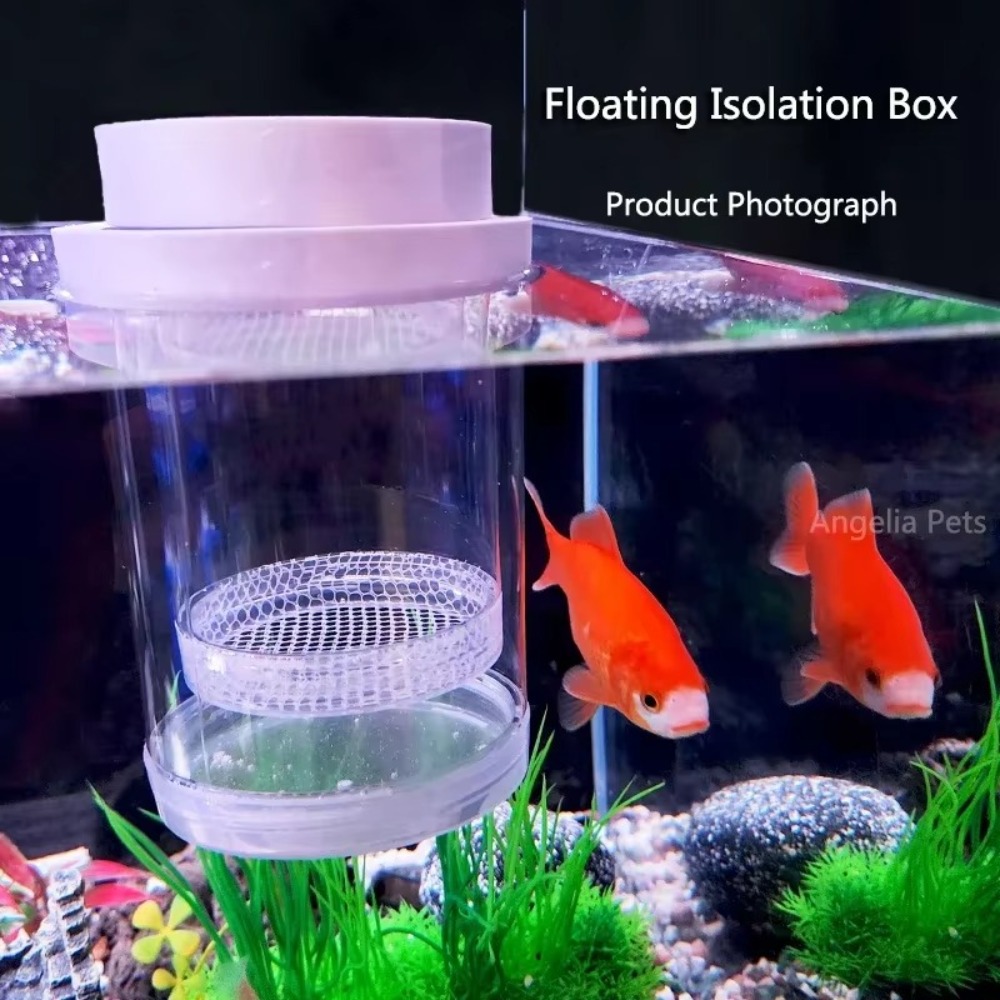 Plastic Floating Fish Breeding - đánh giá và giá Box Fish In Aquarium