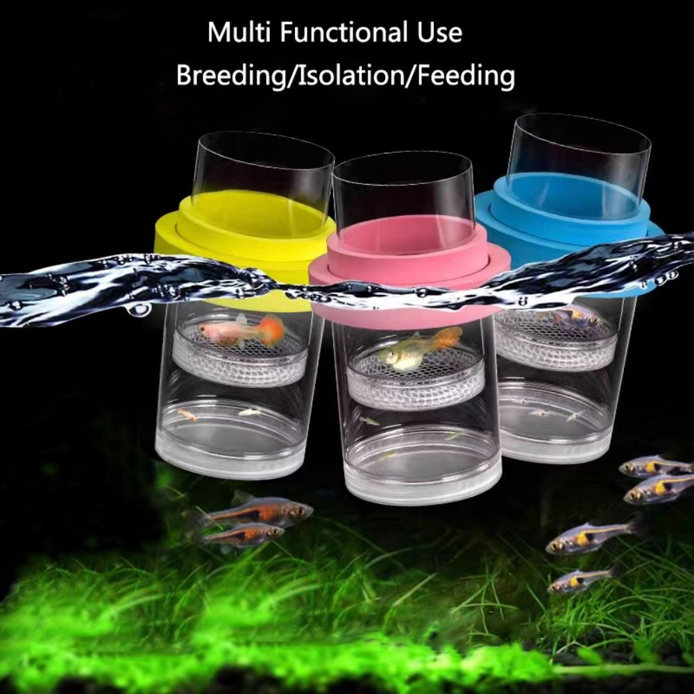 Plastic Floating Fish Breeding - đánh giá và giá Box Fish In Aquarium