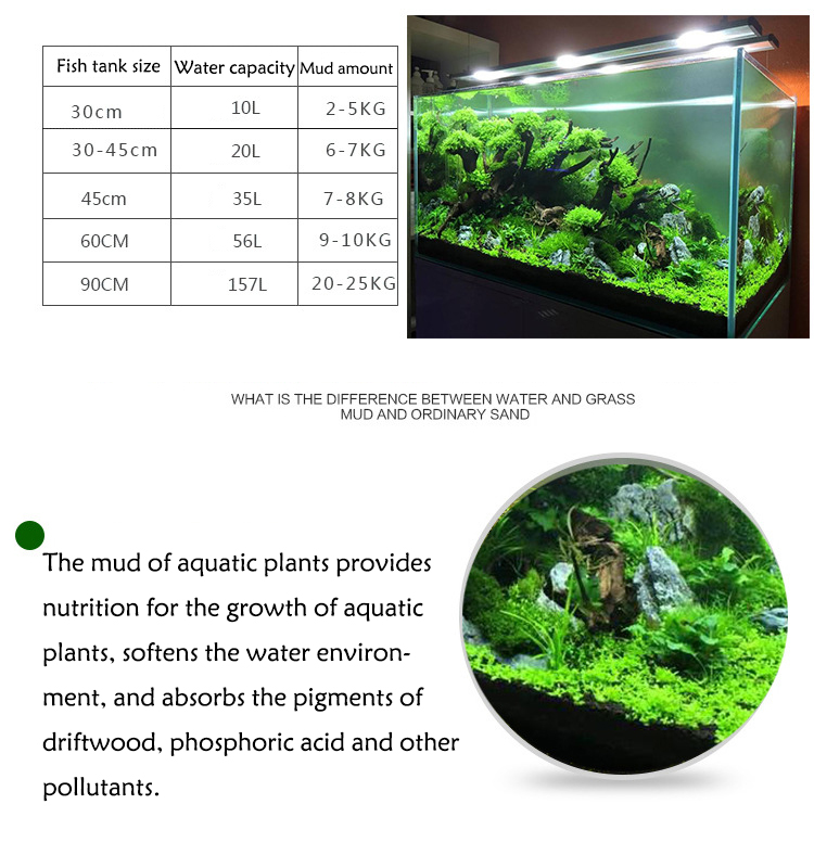 Bể Cá Cảnh Vật Có Hạt Đất Fish - đánh giá và giá Aquarium Fish Types