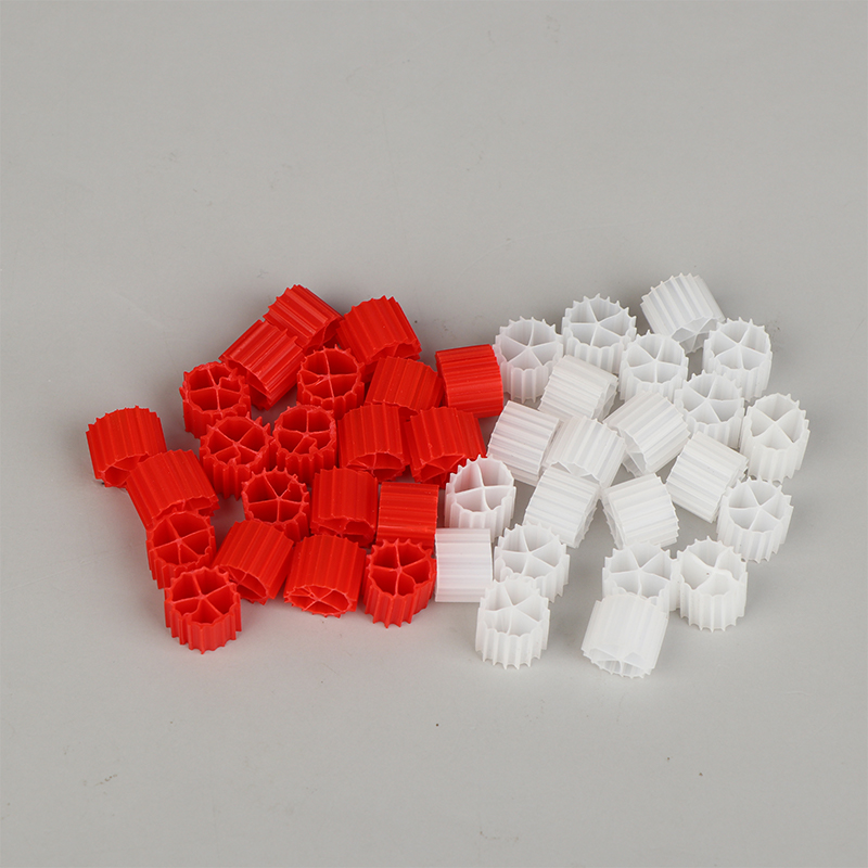 Hot Sale Wihte Red K1 Filter M - đánh giá và giá Aquarium Fish For Sale Online