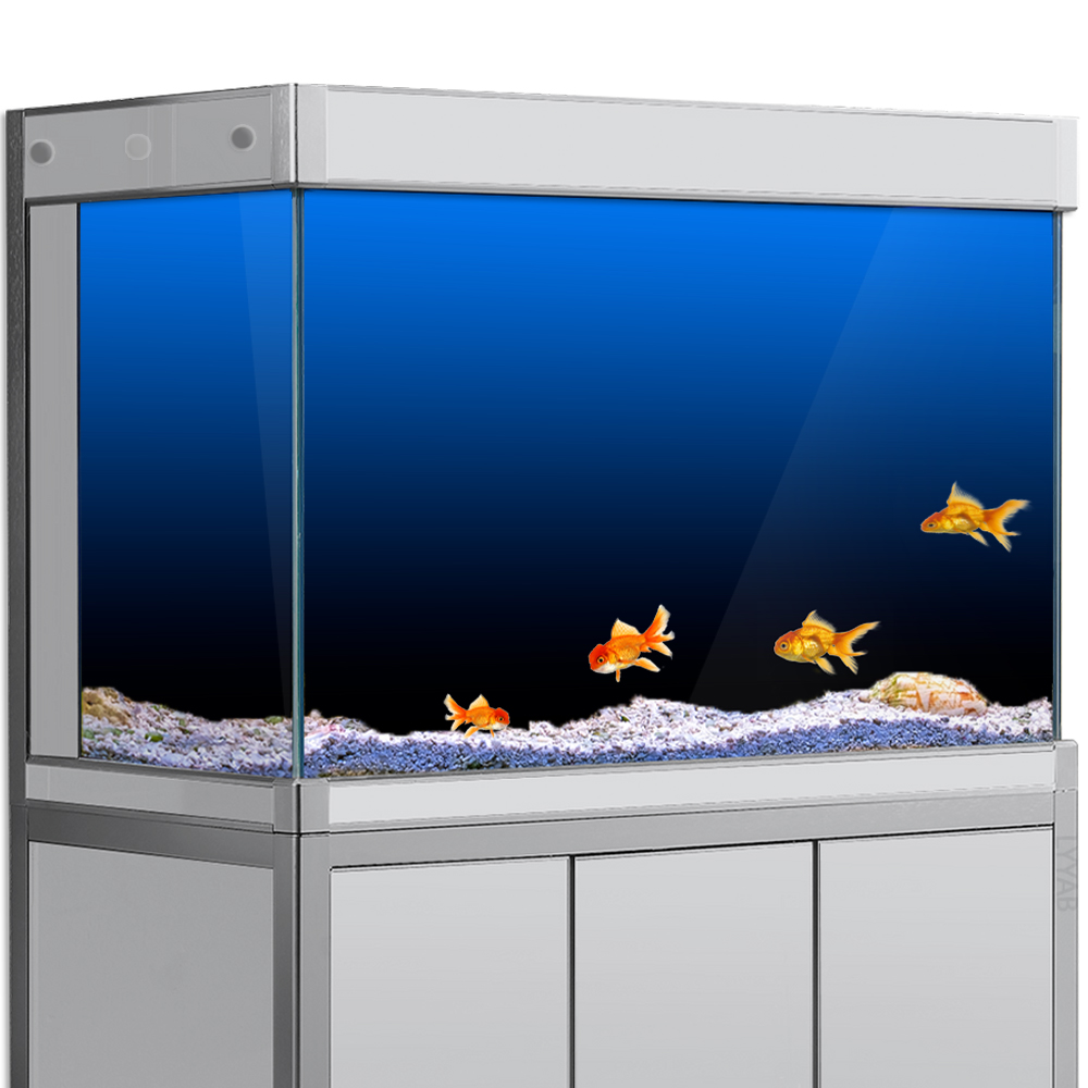 Fish Tank Background Sticker B - đánh giá và giá Aquarium Fish Wallpaper