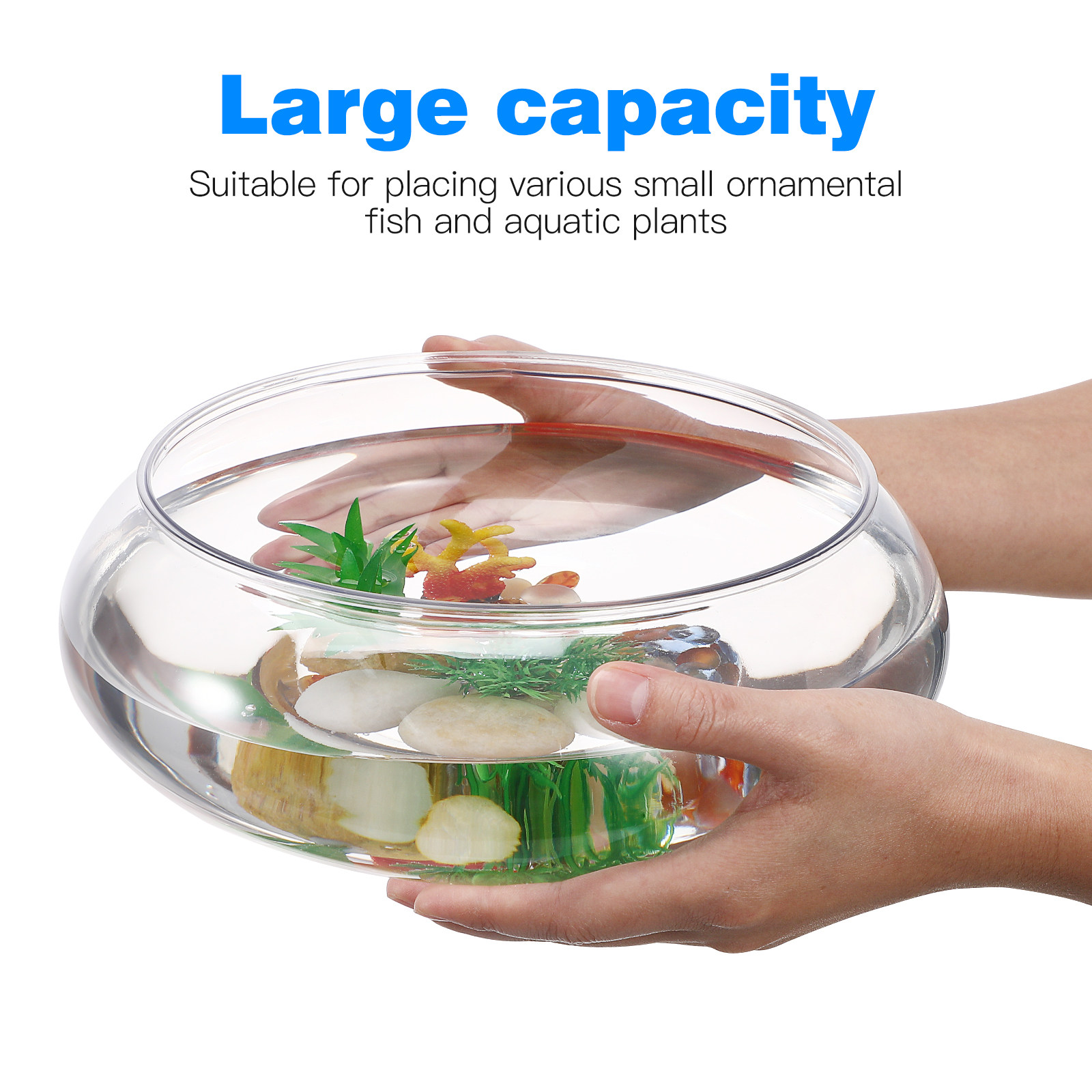 Transparent Aquarium Tank 2800 - đánh giá và giá Aquarium Goldfish