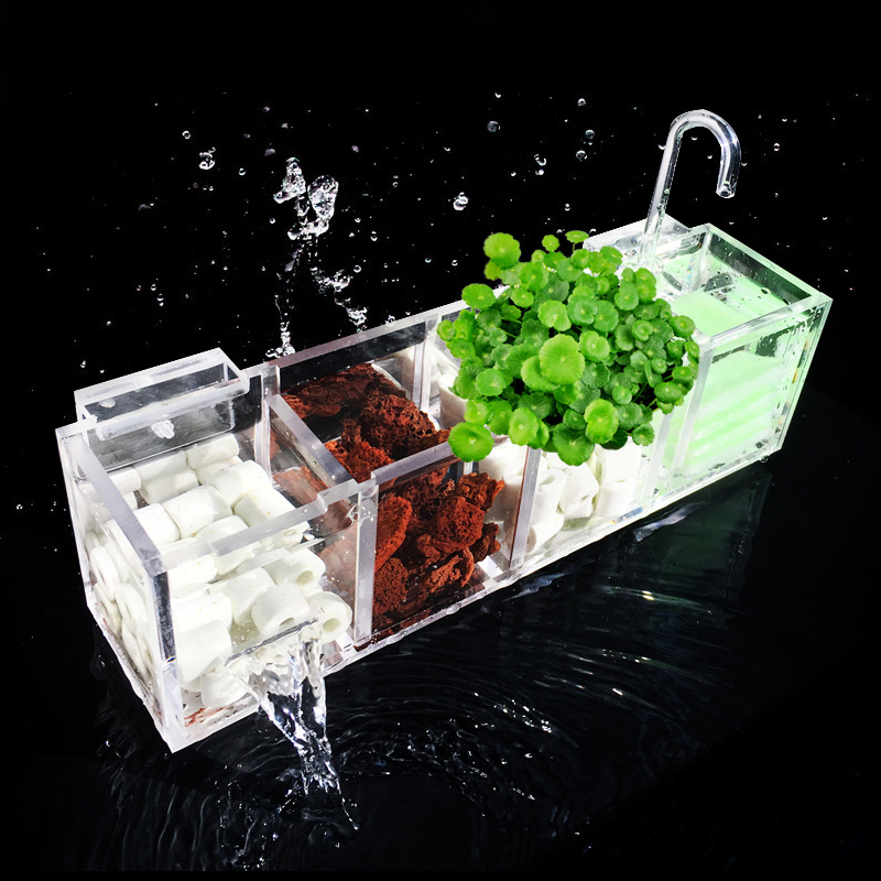 Bể Cá Cảnh Bên Ngoài Hộp Lọc L - đánh giá và giá Box Fish In Aquarium