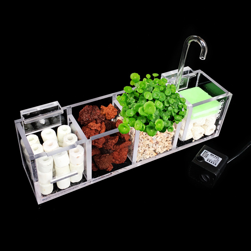 Bể Cá Cảnh Bên Ngoài Hộp Lọc L - đánh giá và giá Box Fish In Aquarium