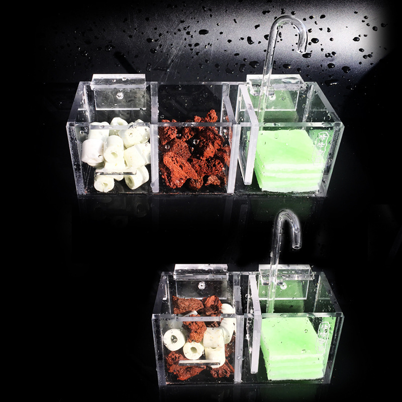 Bể Cá Cảnh Bên Ngoài Hộp Lọc L - đánh giá và giá Box Fish In Aquarium