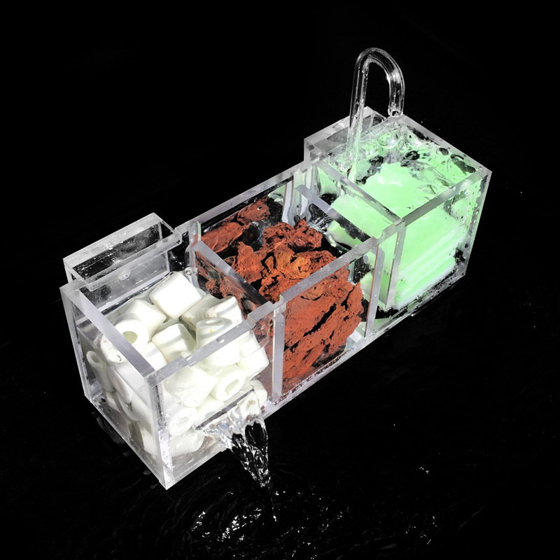 Bể Cá Cảnh Bên Ngoài Hộp Lọc L - đánh giá và giá Box Fish In Aquarium
