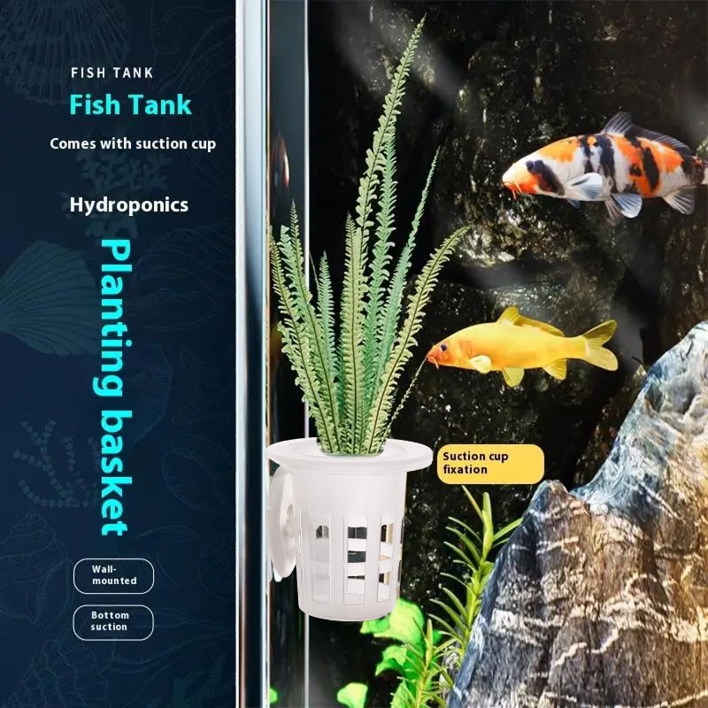 10/20/30Pcs Plastic Aquarium P - đánh giá và giá Aquarium Fish Enrichment