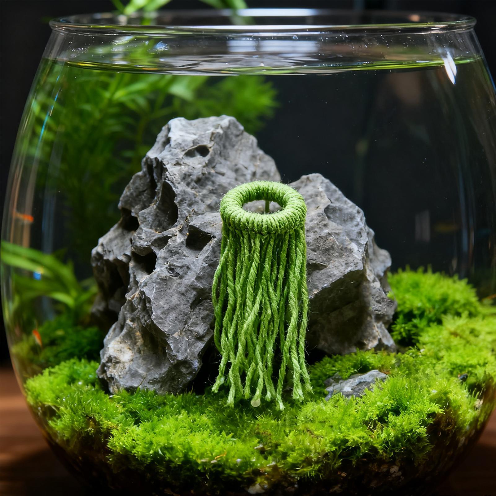 Aquatic Plant Spawning Mop Flo - đánh giá và giá Aquarium Fish Eggs