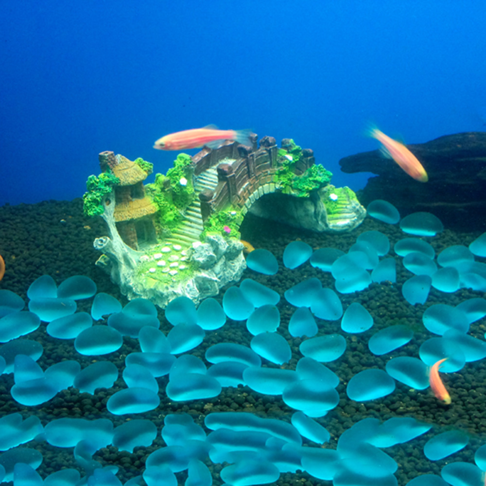 Aquarium Accessories Arbor Tre - đánh giá và giá Aquarium Fish For Sale Online