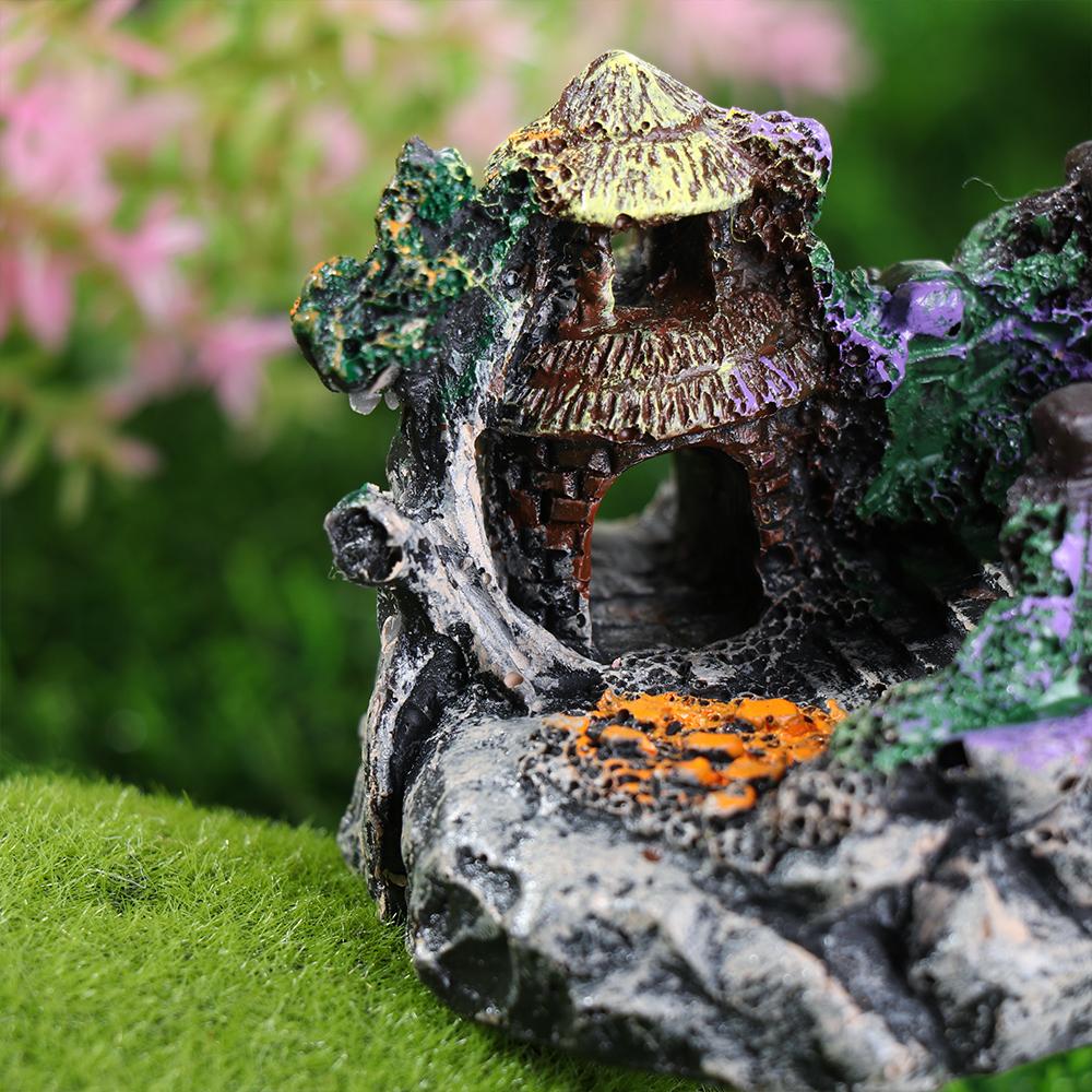Aquarium Accessories Arbor Tre - đánh giá và giá Aquarium Fish For Sale Online