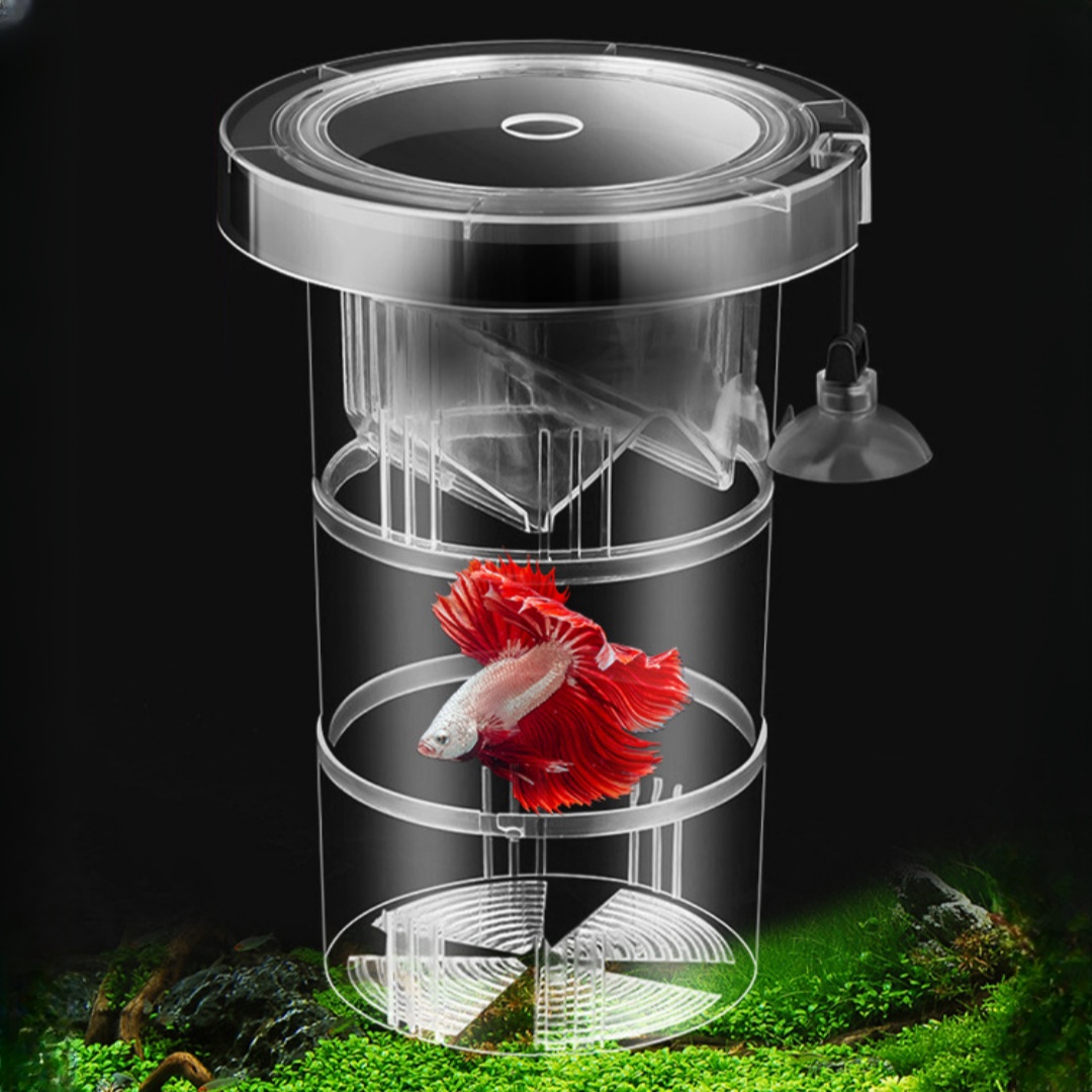 Acrylic Floating Fish Breeding - đánh giá và giá Box Fish In Aquarium