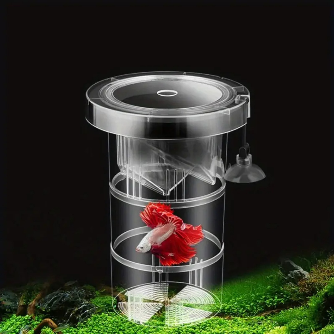 Acrylic Floating Fish Breeding - đánh giá và giá Box Fish In Aquarium