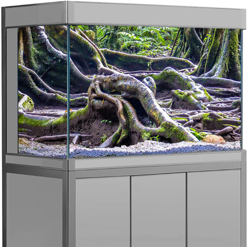 Fish Tank Decor Aquarium Backg - đánh giá và giá Aquarium Fish For Sale Online