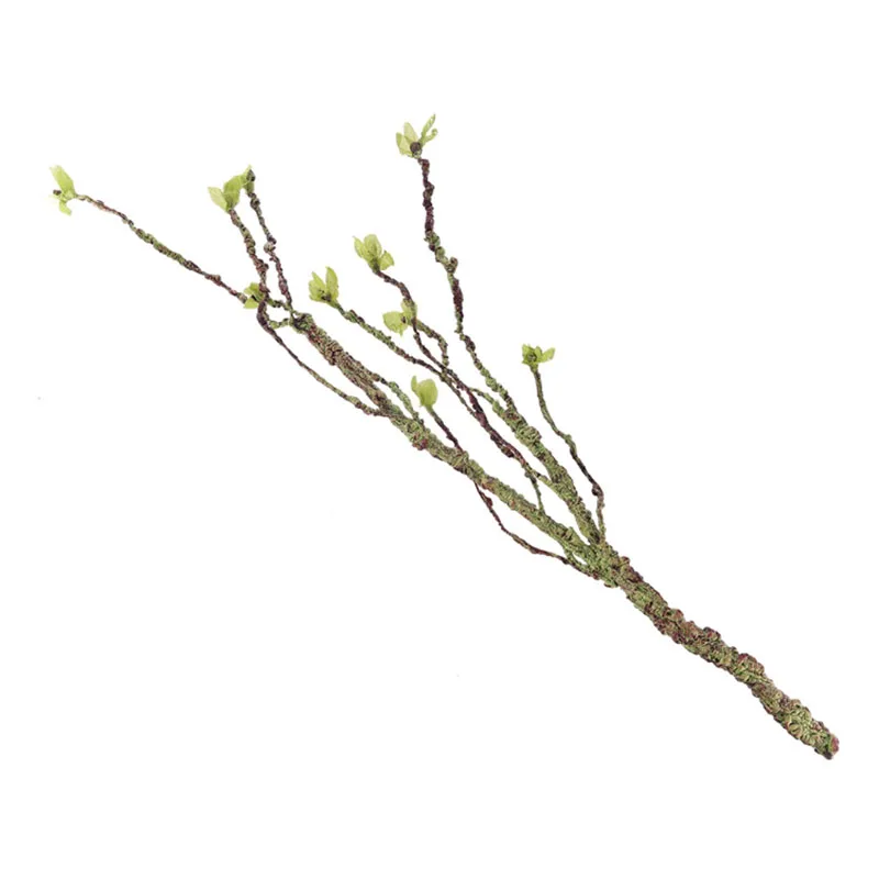 Vines Decor Climbing Branches  - đánh giá và giá Aquarium Fish Enrichment
